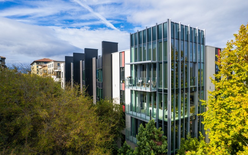 buildings surrounded by trees