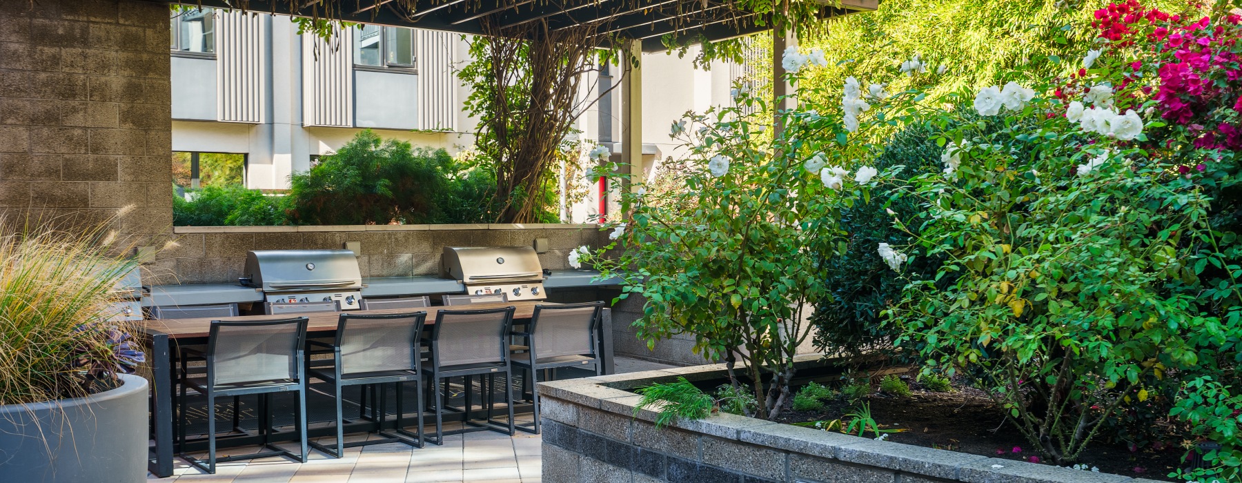 a beautiful resident only bbq amenity space